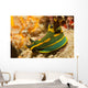 Gabriela's Tambja Tambja Gabrielae Wall Decal