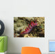 Siboga Cuthona Cuthona Sibogae Wall Decal