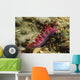 Siboga Cuthona Cuthona Sibogae Wall Decal