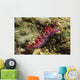 Siboga Cuthona Cuthona Sibogae Wall Decal