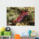 Siboga Cuthona Cuthona Sibogae Wall Decal