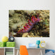 Siboga Cuthona Cuthona Sibogae Wall Decal