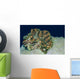Fluted Giant Clam Tridacna Wall Decal
