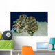 Fluted Giant Clam Tridacna Wall Decal