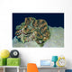 Fluted Giant Clam Tridacna Wall Decal