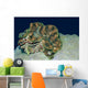 Fluted Giant Clam Tridacna Wall Decal