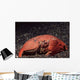 Giant Box Crab Calappa Wall Decal