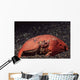 Giant Box Crab Calappa Wall Decal
