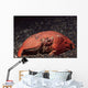 Giant Box Crab Calappa Wall Decal