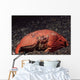 Giant Box Crab Calappa Wall Decal