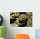 Panamic Green Moray Eel Wall Decal