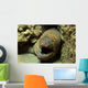 Panamic Green Moray Eel Wall Decal