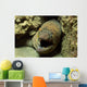 Panamic Green Moray Eel Wall Decal