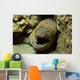 Panamic Green Moray Eel Wall Decal