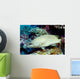 Slender Grouper Anyperodon Leucogrammicus Wall Decal