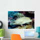Slender Grouper Anyperodon Leucogrammicus Wall Decal