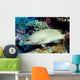 Slender Grouper Anyperodon Leucogrammicus Wall Decal