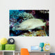 Slender Grouper Anyperodon Leucogrammicus Wall Decal