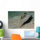 Blue-spotted Ribbontail Ray Partly Wall Decal