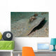 Blue-spotted Ribbontail Ray Partly Wall Decal