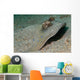 Blue-spotted Ribbontail Ray Partly Wall Decal
