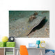Blue-spotted Ribbontail Ray Partly Wall Decal