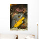 Blackspotted Puffer Arothron Nigropunctatus Wall Decal Design 3