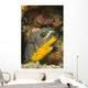 Blackspotted Puffer Arothron Nigropunctatus Wall Decal Design 3