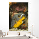 Blackspotted Puffer Arothron Nigropunctatus Wall Decal Design 3