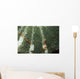 Anemone Shrimp Sea Anemone Wall Decal