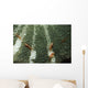 Anemone Shrimp Sea Anemone Wall Decal