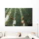 Anemone Shrimp Sea Anemone Wall Decal