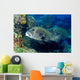 Many-spotted Sweetlips Swimming over Wall Decal