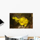 Painted Frogfish Antennarius Pictus Wall Decal Design 2