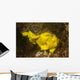 Painted Frogfish Antennarius Pictus Wall Decal Design 2