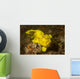 Painted Frogfish Antennarius Pictus Wall Decal Design 1