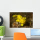 Painted Frogfish Antennarius Pictus Wall Decal Design 1