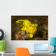 Painted Frogfish Antennarius Pictus Wall Decal Design 1