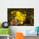 Painted Frogfish Antennarius Pictus Wall Decal Design 1