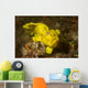Painted Frogfish Antennarius Pictus Wall Decal Design 1