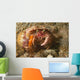 Anemone Hermit Crab Carries Wall Decal Design 2
