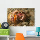 Anemone Hermit Crab Carries Wall Decal Design 2