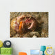 Anemone Hermit Crab Carries Wall Decal Design 2