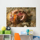 Anemone Hermit Crab Carries Wall Decal Design 2