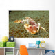 Spotted Porcelain Crab Sea Wall Decal
