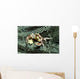 Porcelain Crab Eating Solomon Wall Decal