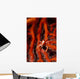 Elegant Squat Lobster Allogalathea Wall Decal