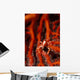 Elegant Squat Lobster Allogalathea Wall Decal