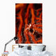 Elegant Squat Lobster Allogalathea Wall Decal