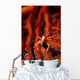 Elegant Squat Lobster Allogalathea Wall Decal